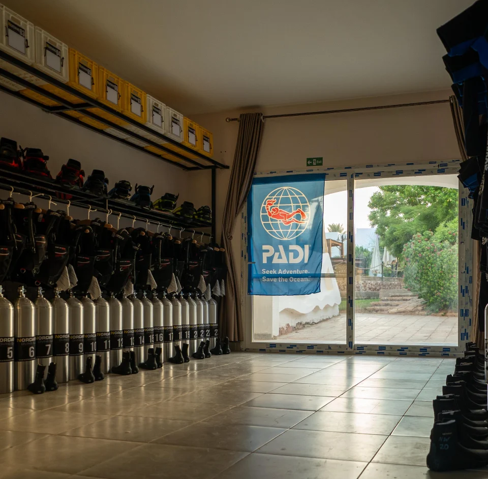 Nordwind diving centre preparation room with organised tanks and equipment