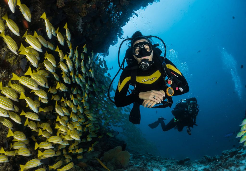 Reef and diver in blue water
